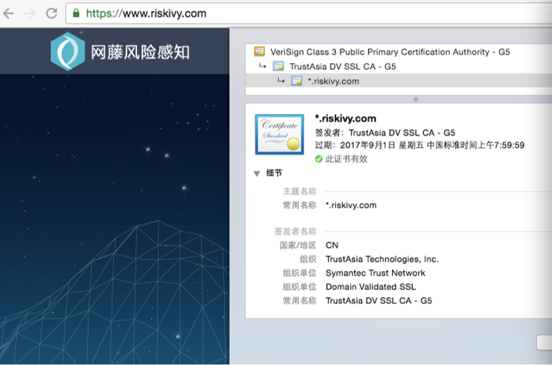 名型DV SSL证书显示