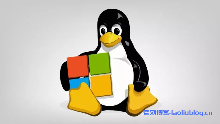 服务器选择操作系统到底是Linux系统还是windows系统好呢?